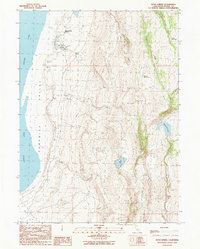 Download a high-resolution, GPS-compatible USGS topo map for Boyd Spring, CA (1990 edition)