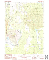 Download a high-resolution, GPS-compatible USGS topo map for Bray, CA (1988 edition)
