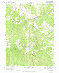 Download a high-resolution, GPS-compatible USGS topo map for Bridgeville, CA (1974 edition)