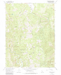 Download a high-resolution, GPS-compatible USGS topo map for Brushy Mtn, CA (1985 edition)