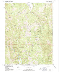 Download a high-resolution, GPS-compatible USGS topo map for Brushy Mtn, CA (1994 edition)