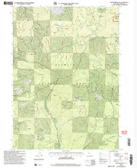 Download a high-resolution, GPS-compatible USGS topo map for Buckhorn Bally, CA (2004 edition)