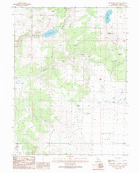 Download a high-resolution, GPS-compatible USGS topo map for Buckhorn Canyon, CA (1989 edition)