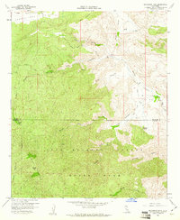 Download a high-resolution, GPS-compatible USGS topo map for Bucksnort Mtn, CA (1961 edition)