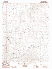 Download a high-resolution, GPS-compatible USGS topo map for Bull Flat, CA (1989 edition)