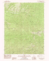 Download a high-resolution, GPS-compatible USGS topo map for Bully Choop Mtn, CA (1982 edition)