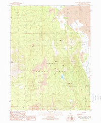 Download a high-resolution, GPS-compatible USGS topo map for Burney Mountain East, CA (1990 edition)