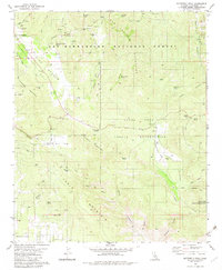 Download a high-resolution, GPS-compatible USGS topo map for Butterfly Peak, CA (1982 edition)