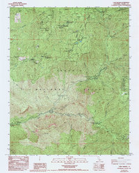 Download a high-resolution, GPS-compatible USGS topo map for Camp Wishon, CA (1994 edition)