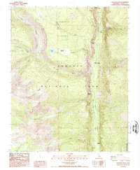 Download a high-resolution, GPS-compatible USGS topo map for Chagoopa Falls, CA (1988 edition)
