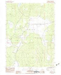 Download a high-resolution, GPS-compatible USGS topo map for Champs Flat, CA (1983 edition)