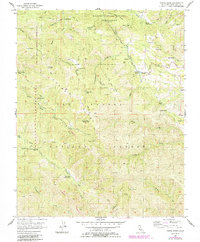 Download a high-resolution, GPS-compatible USGS topo map for Chews Ridge, CA (1984 edition)