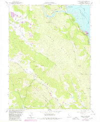 Download a high-resolution, GPS-compatible USGS topo map for Chiles Valley, CA (1980 edition)