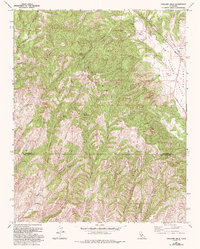 Download a high-resolution, GPS-compatible USGS topo map for Cholame Hills, CA (1993 edition)