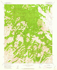 Download a high-resolution, GPS-compatible USGS topo map for Cholame Hills, CA (1962 edition)