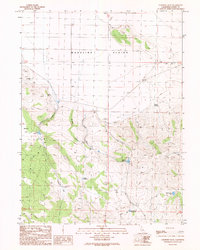 Download a high-resolution, GPS-compatible USGS topo map for Cleghorn Flat, CA (1989 edition)