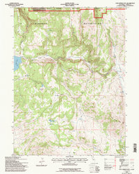 Download a high-resolution, GPS-compatible USGS topo map for Cold Spring Mtn, CA (1996 edition)