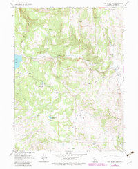 Download a high-resolution, GPS-compatible USGS topo map for Cold Spring Mtn, CA (1983 edition)