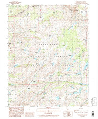 Download a high-resolution, GPS-compatible USGS topo map for Cooper Peak, CA (1990 edition)