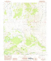 Download a high-resolution, GPS-compatible USGS topo map for Coyote Flat, CA (1984 edition)