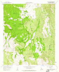 Download a high-resolution, GPS-compatible USGS topo map for Cuyamaca Peak, CA (1961 edition)