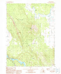 Download a high-resolution, GPS-compatible USGS topo map for Dana, CA (1990 edition)