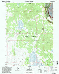 Download a high-resolution, GPS-compatible USGS topo map for Dead Horse Reservoir, CA (1997 edition)