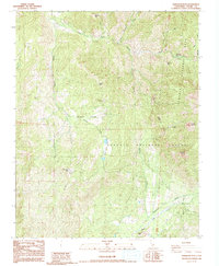 Download a high-resolution, GPS-compatible USGS topo map for Dennison Peak, CA (1992 edition)