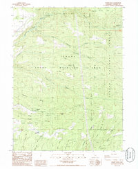 Download a high-resolution, GPS-compatible USGS topo map for Dewitt Peak, CA (1985 edition)