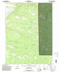 Download a high-resolution, GPS-compatible USGS topo map for Dewitt Peak, CA (1997 edition)