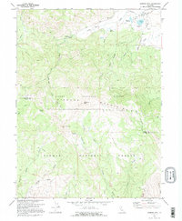 Download a high-resolution, GPS-compatible USGS topo map for Diamond Mtn, CA (1995 edition)