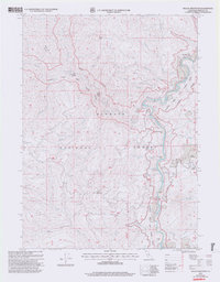 Download a high-resolution, GPS-compatible USGS topo map for Dillon Mtn, CA (2004 edition)