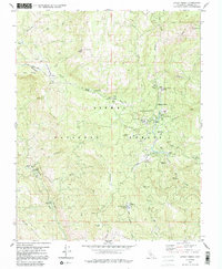 Download a high-resolution, GPS-compatible USGS topo map for Dinkey Creek, CA (1991 edition)