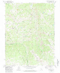 Download a high-resolution, GPS-compatible USGS topo map for Disaster Peak, CA (1985 edition)