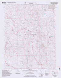 Download a high-resolution, GPS-compatible USGS topo map for Disaster Peak, CA (2004 edition)