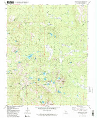 Download a high-resolution, GPS-compatible USGS topo map for Dogtooth Peak, CA (1988 edition)