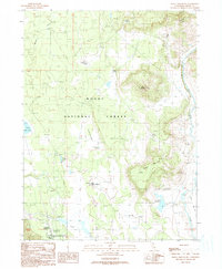 Download a high-resolution, GPS-compatible USGS topo map for Donica Mountain, CA (1990 edition)