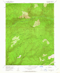 Download a high-resolution, GPS-compatible USGS topo map for Duncan Peak, CA (1963 edition)