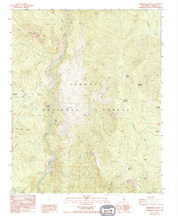 Download a high-resolution, GPS-compatible USGS topo map for Durrwood Creek, CA (1994 edition)