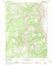 Download a high-resolution, GPS-compatible USGS topo map for Eagle Peak, CA (1983 edition)