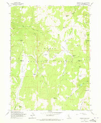 Download a high-resolution, GPS-compatible USGS topo map for Emerson Peak, CA (1973 edition)