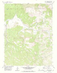 Download a high-resolution, GPS-compatible USGS topo map for Ferris Creek, CA (1978 edition)