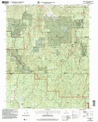 Download a high-resolution, GPS-compatible USGS topo map for Fish Camp, CA (2007 edition)