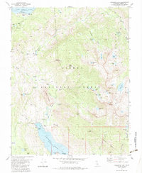 Download a high-resolution, GPS-compatible USGS topo map for Florence Lake, CA (1983 edition)