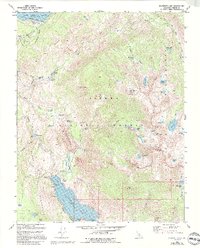 Download a high-resolution, GPS-compatible USGS topo map for Florence Lake, CA (1994 edition)