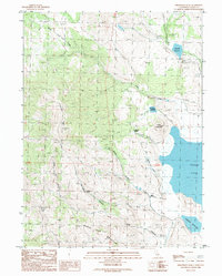 Download a high-resolution, GPS-compatible USGS topo map for Fredonyer Peak, CA (1989 edition)
