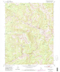Download a high-resolution, GPS-compatible USGS topo map for Granite Chief, CA (1980 edition)