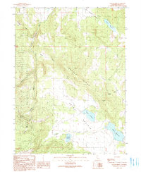 Download a high-resolution, GPS-compatible USGS topo map for Graven Ridge, CA (1990 edition)