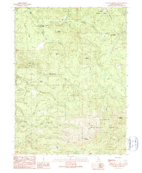 Download a high-resolution, GPS-compatible USGS topo map for Hatchet Mountain Pass, CA (1990 edition)
