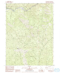 Download a high-resolution, GPS-compatible USGS topo map for Hayfork Bally, CA (1992 edition)